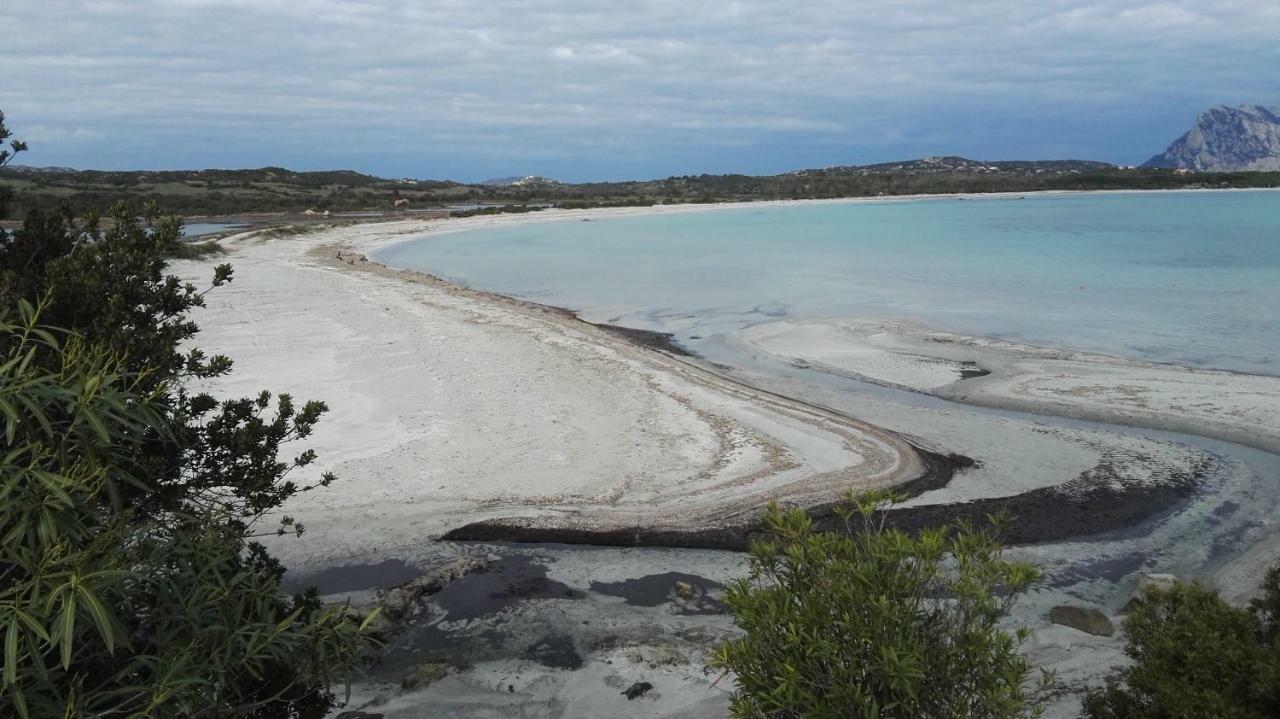 Appartamenti Sardegna 波尔图圣保罗 外观 照片