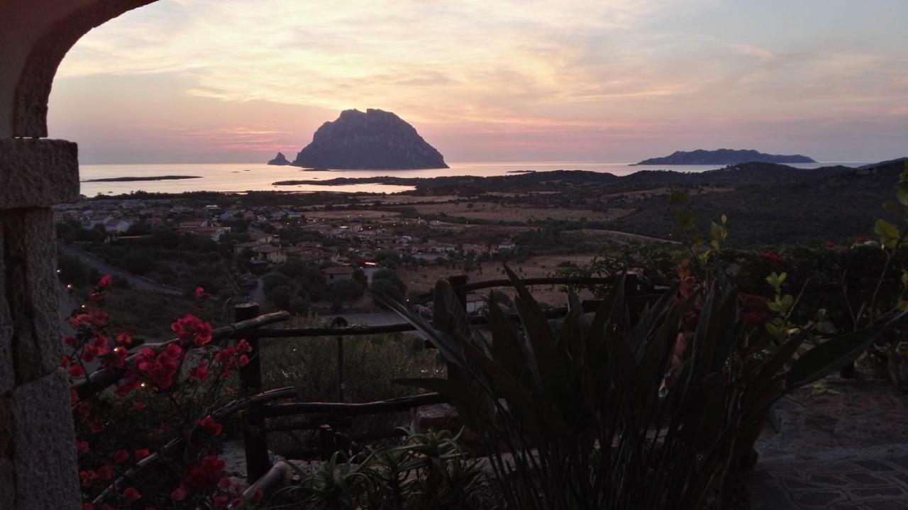 Appartamenti Sardegna 波尔图圣保罗 外观 照片